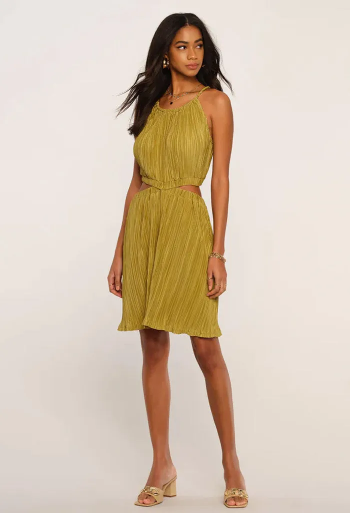 Apple Calabra Dress