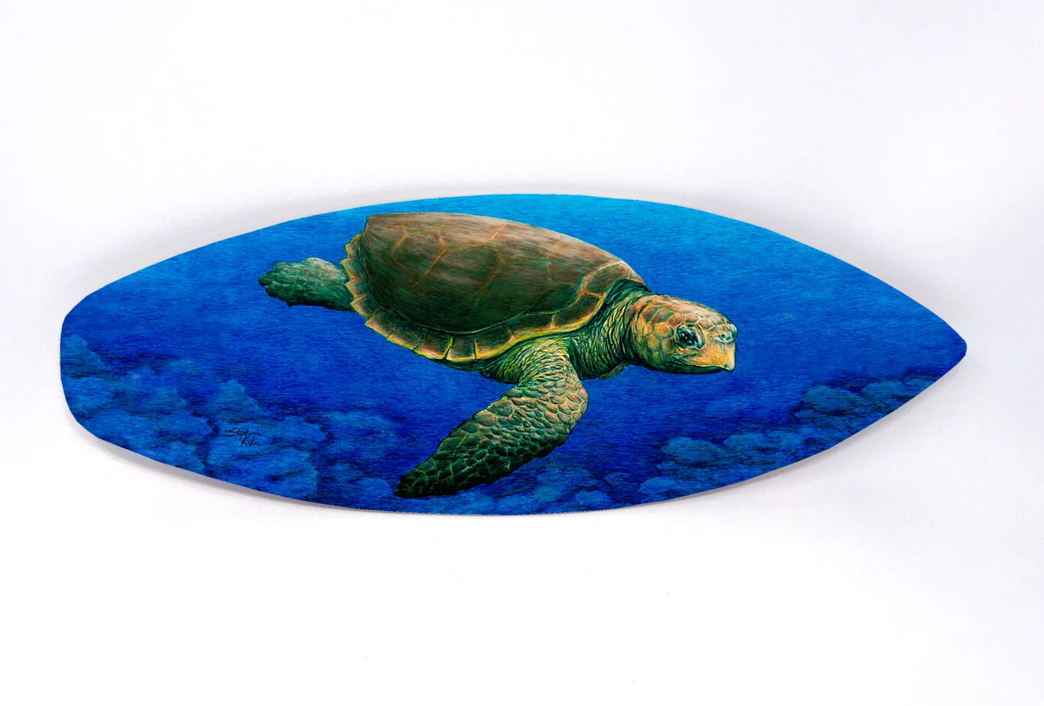 Loggerhead Turtle Surfboard Decor