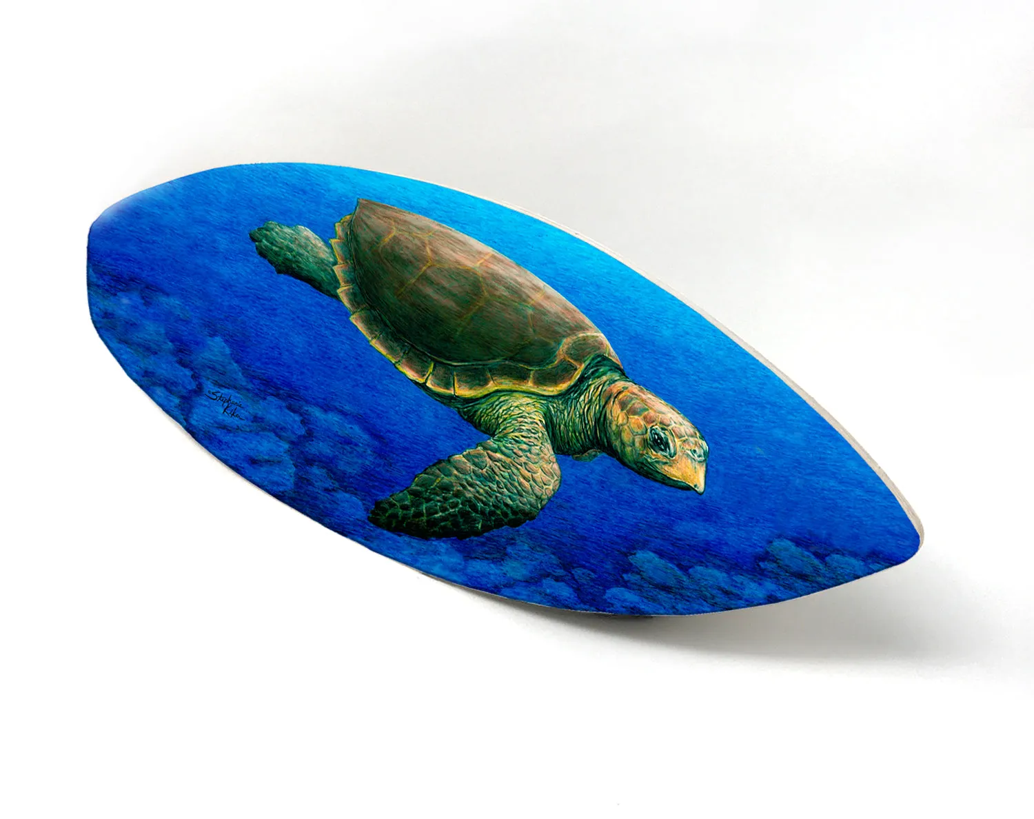 Loggerhead Turtle Surfboard Decor