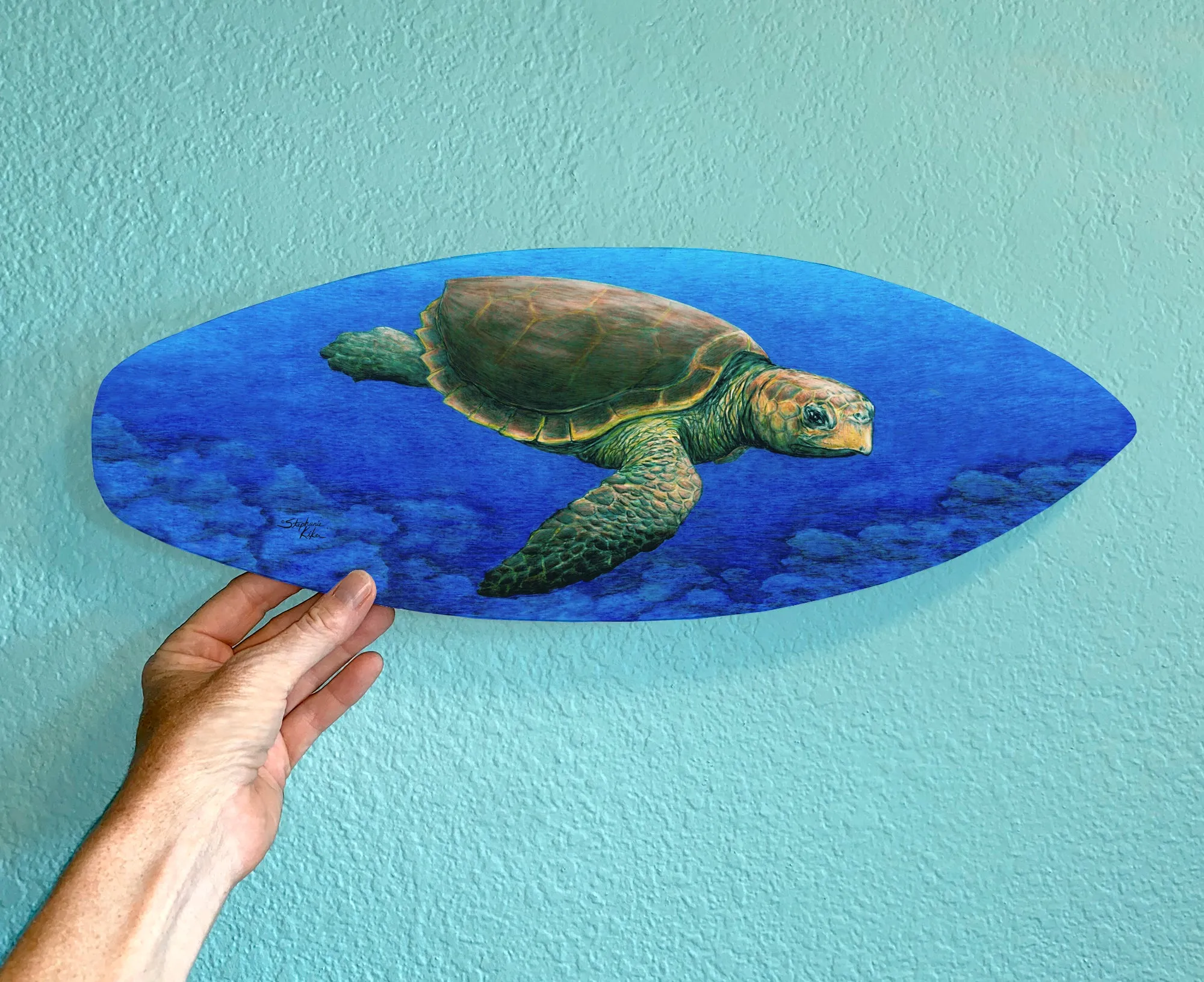 Loggerhead Turtle Surfboard Decor